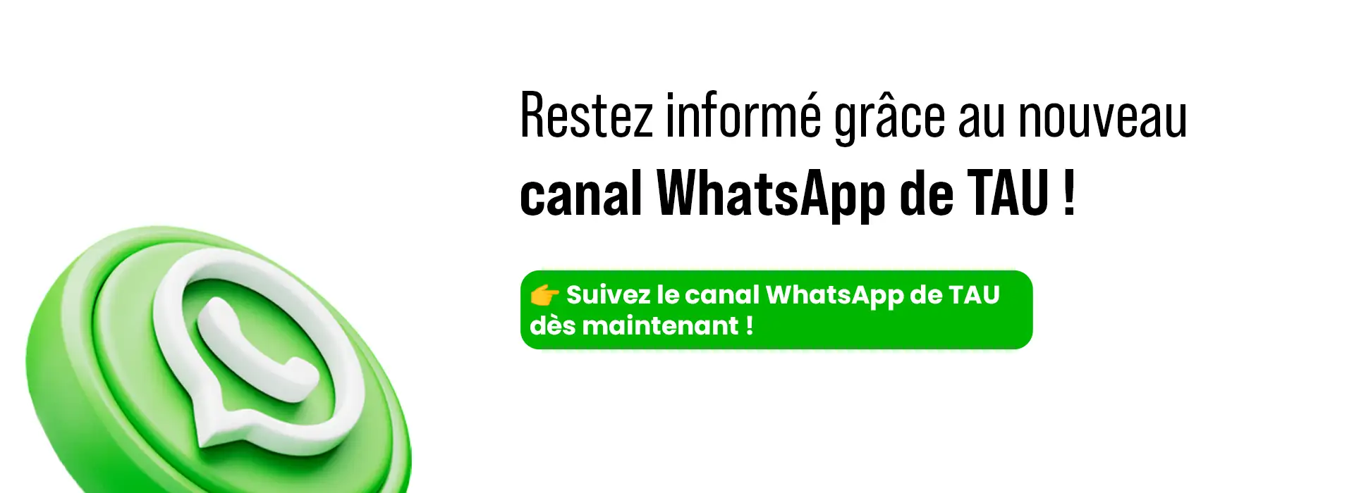 SLIDE_CANALE-WHATSAPP_FR